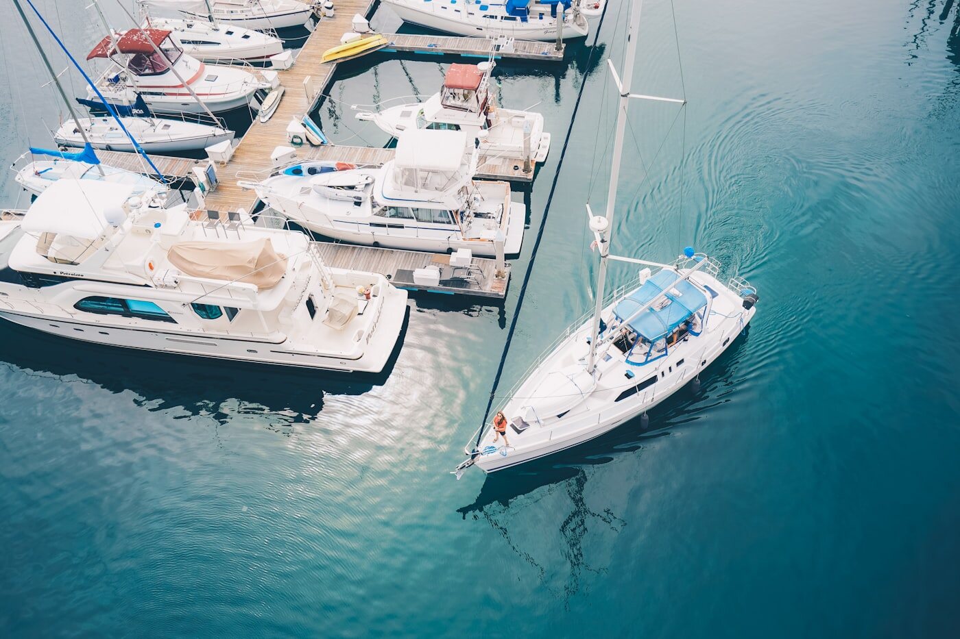 Boats moored in a marina